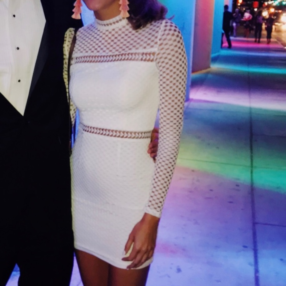 Mesh white long sleeve dress